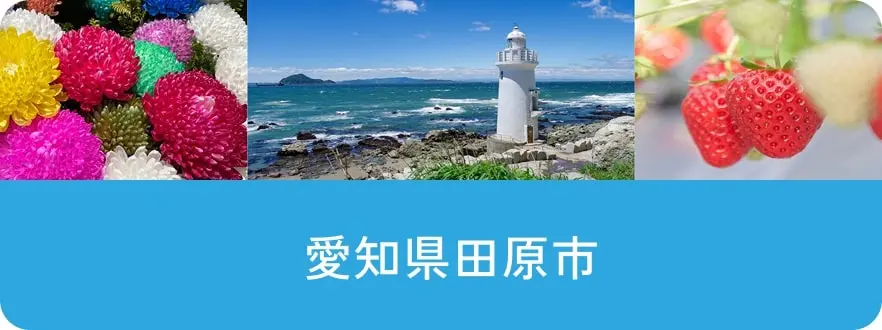 愛知県田原市
